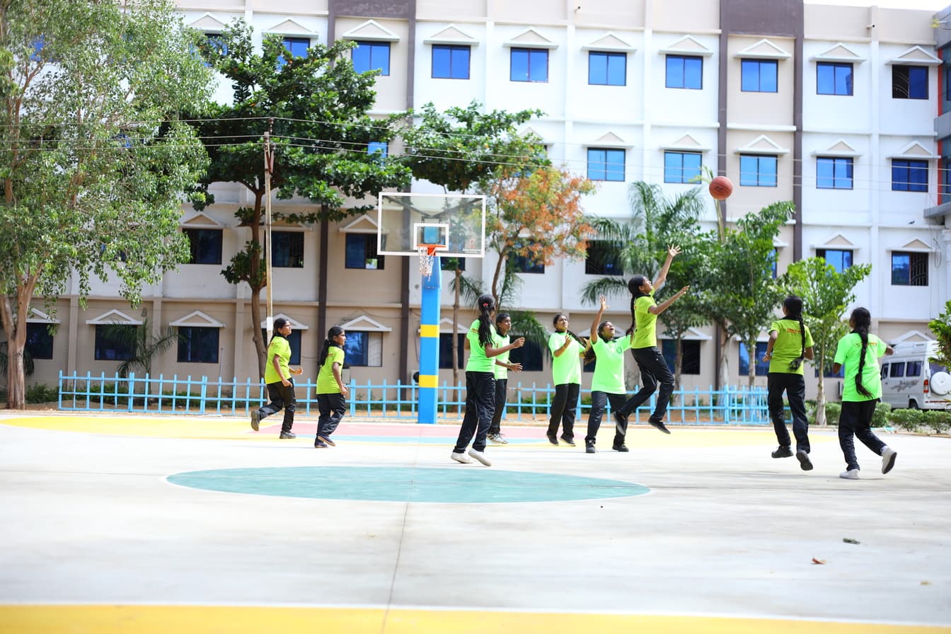 Sports grounds